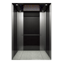 FUJI 320Kg 0.4m/S Home Elevator Cheap Small Sightseeing Villa Passenger Elevator Lift Panoramic Observation Glass Elevator lift